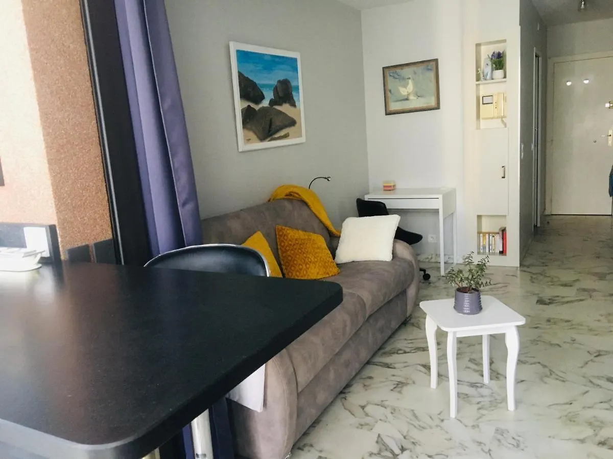 Appartement Studio Avec Parking Au Calme 50M Croisette Cannes